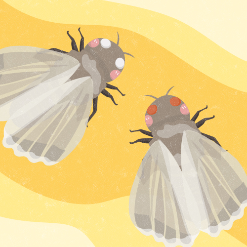 遺傳